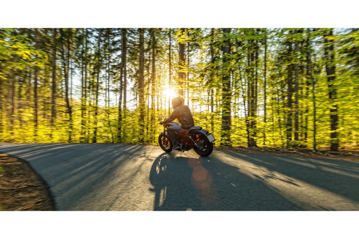 Lee más sobre el artículo Lorem ipsum dolor sit amet, consectetur adipiscing elit