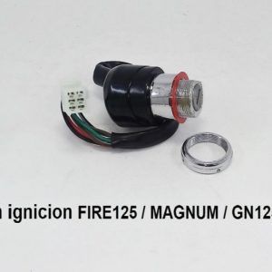 llavin ignicion GN125/Fire125/MAGNUM 6L