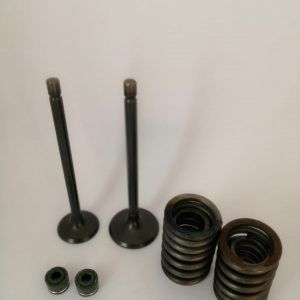 set comp valvulas adm-esc GY200