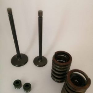 set comp valvulas adm-esc CG125