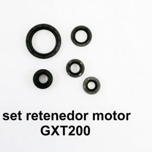 Set retenedor motor GXT200