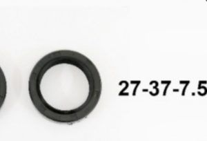 Set retenedor tubon ZS150 27-37-7.5