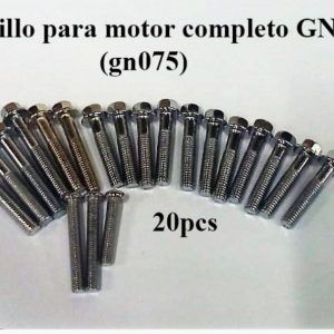 Tornillo motor completo GN125 (gn075)