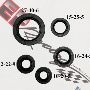 Set retenedores motor Gn125