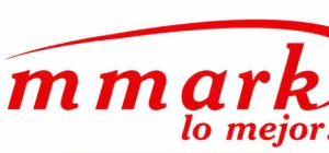 Neumatico ammark 410/17
