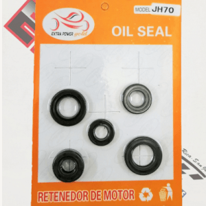 Set retenedores motor JH70